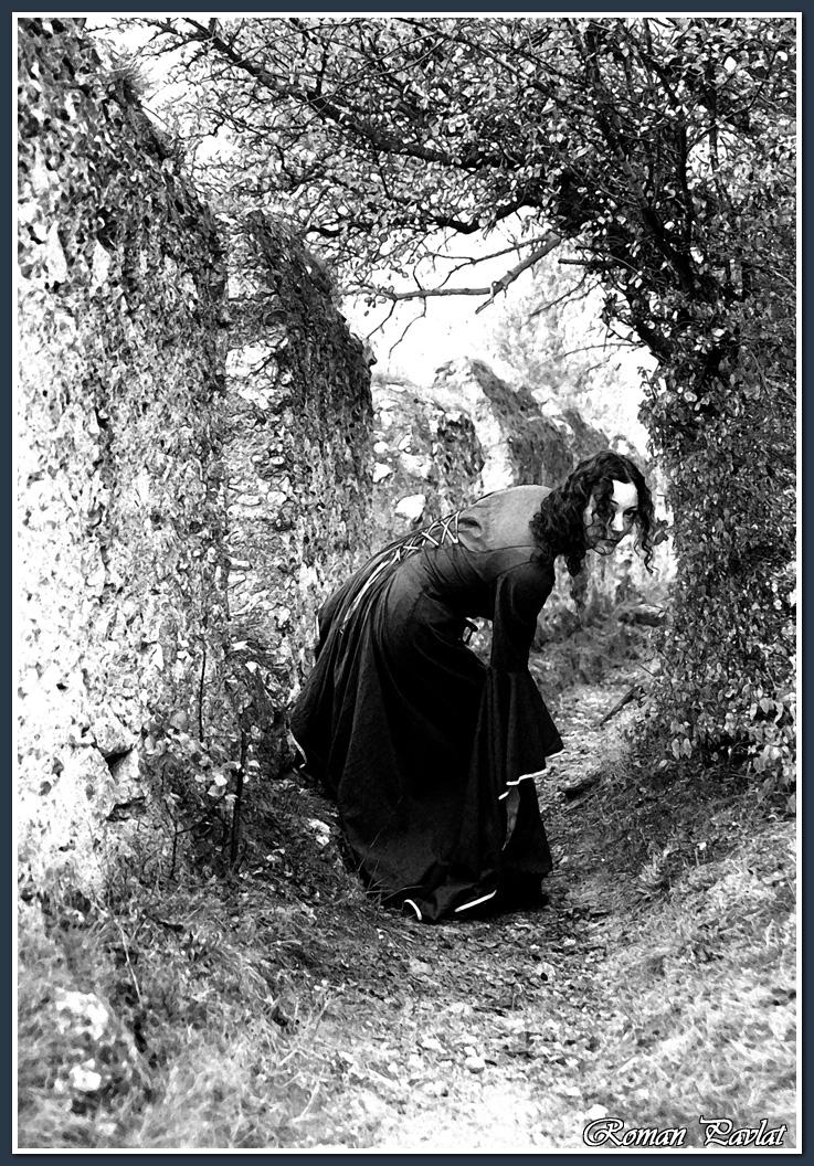 クリックでフルサイズのイメージを表示