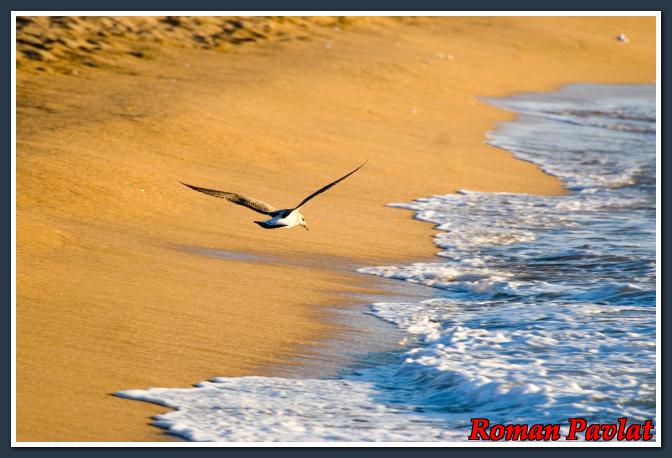 Clique Para Ampliar essa Imagem