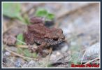crw_2977.jpg