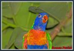 img_5107.jpg