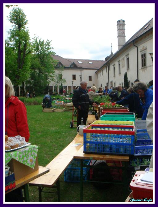 Spauskite peržiūrėti tikro dydžio