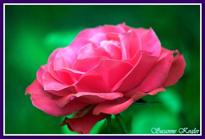 Натиснете за да видите снимката уголемена