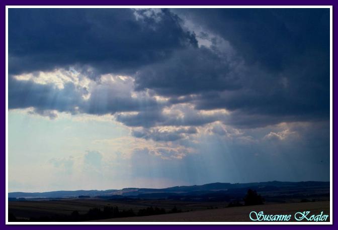 클릭하여 원래 크기로 보기