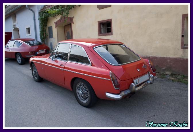 Clicca per ingrandire l'immagine