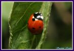 img_6560.jpg